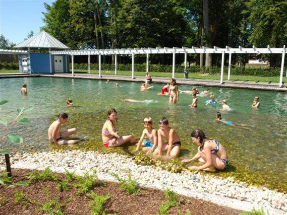 Stamsried Ferienhaus Chalet Blockhaus Bayern מראה חיצוני תמונה